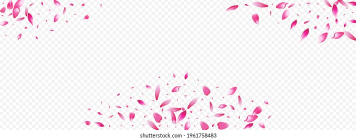 Pink Rose Vector Panoramic Transparent Background. Floral Feminine Template. Flower Blur Illustration. Blossom Dream Banner. Bright Lotus Wedding Cover.