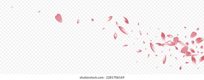 Pink Rose Vector Panoramic Transparent Background. Flower Isolated Template. Floral Rain Banner. Cherry Mother Card. Red Leaf Realistic Design.