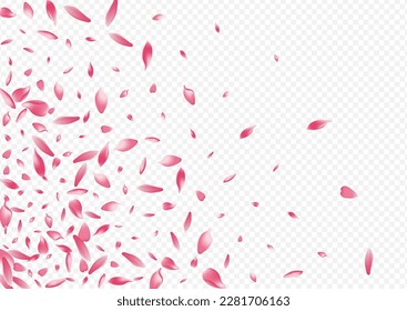 Pink Rose Vector Transparent Background. Floral Fresh Pattern. Rosa Falling Backdrop. Flower Beauty Illustration. Red Bloom Down Poster.