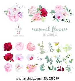 Pink rose, white and burgundy red peony, protea, violet orchid, hydrangea, campanula flowers and mix of seasonal plants and herbs big vector collection. All elements are isolated and editable.