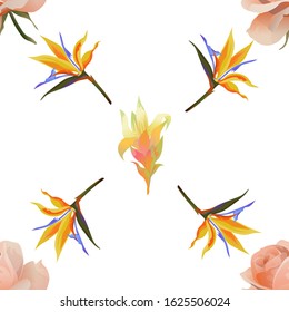 Pink Rose. Yellow bird of paradise Strelitzia. Yellow Guzmania. Vector illustration. Seamless background pattern. Floral botanical flower. Wild leaf wildflower isolated. Exotic tropical hawaiian.