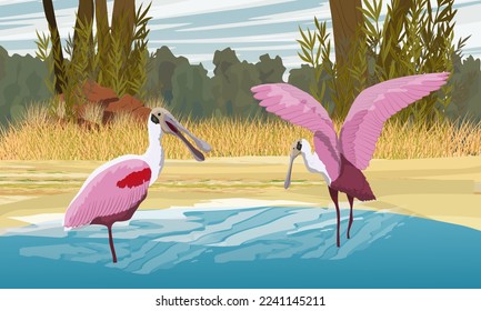 Pájaro cucharón rosado en el agua. Lago Jungle. Paisaje de vectores realistas