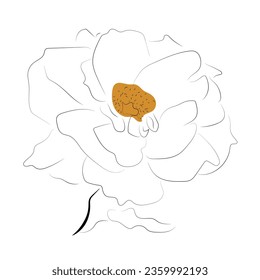 Pink rosehip on a white background.