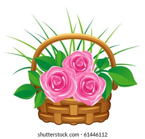 pink roses in basket