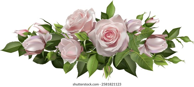 Pink roses blooming with green leaves and buds creating a beautiful floral arrangement on a pure white background, perfect for romantic and nature themed designs