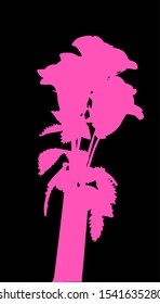 Pink roses. Bouquet. Icon. Color image. Black background .Vector graphics.