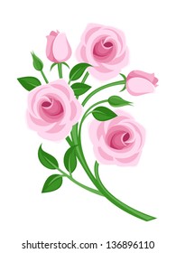 Pink roses, buds and leaves. Vector illustration.