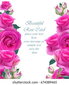Pink roses card vertical Vector. delicate summer card. Springtime fresh natural composition