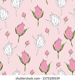 Pink roses chic seamless pattern design illustration