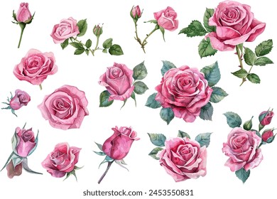 Pink Roses Clipart, Roses bouquet, Printable Watercolor clipart