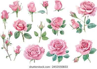 Pink Roses Clipart, Roses bouquet, Printable Watercolor clipart