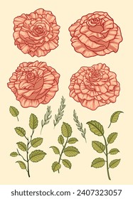 Pink Roses Element Collection Set with Leaves