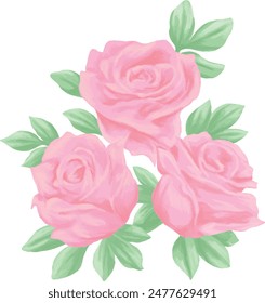 Pink roses flower painting illustration