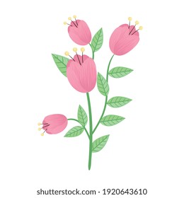 pink roses flowers and leafs spring icon vector illustration design