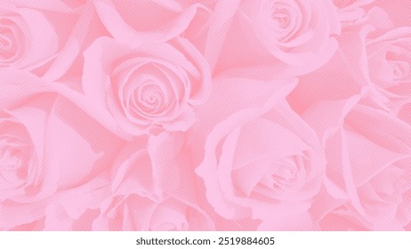 rosafarbene Rosen, Halbton, Vektorhintergrund