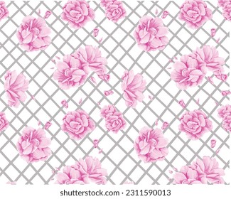 rosas rosas rosas sobre fondo gris