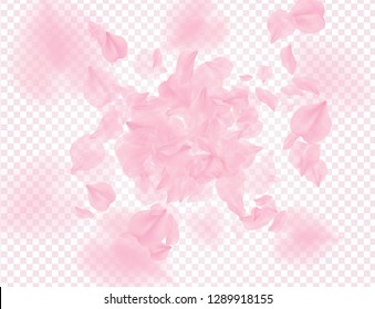 Pink roses petals falling on transparent background. Vector overlay Valentines background. Sakura flower 3D romantic illustration. Spring tender light center backdrop. Tenderness romance design