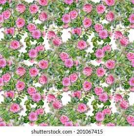 Pink roses seamless pattern on a white background vector