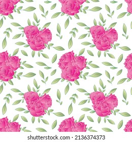 Pink roses seamless pattern on white background. Vector illustration.