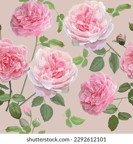 Pink Roses seamless pattern on pink background vector illustration