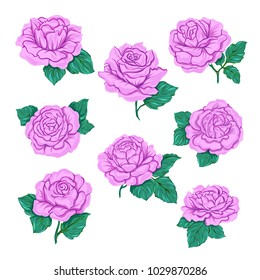 Pink roses set isolated on white background. Hand drawn colorful vector illustration without transparent and gradients.