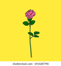 Pink roses symbolize gratitude, grace, and joy. Overall, pink roses suggest a gentleness compared to the typical bright red rose vector illustration 