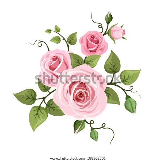 ピンクのバラ ベクターイラスト のベクター画像素材 ロイヤリティフリー