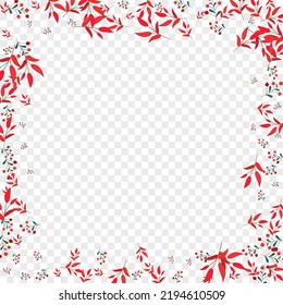 Pink Rowan Background Transparent Vector. Herb Collection Set. Green Foliage. Red Leaf Dry. Realistic Illustration.