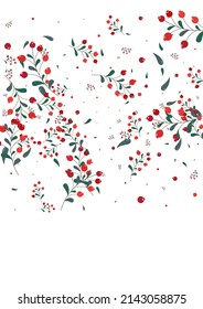 Pink Rowan Background White Vector. Berries Image Texture. Green Leaf November. Simple Template. Leaves Wallpaper.
