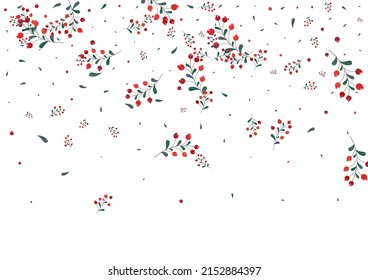 Pink Rowan Background White Vector. Foliage Poster Frame. Burgundy Herb Object. Forest Illustration. Leaves School.