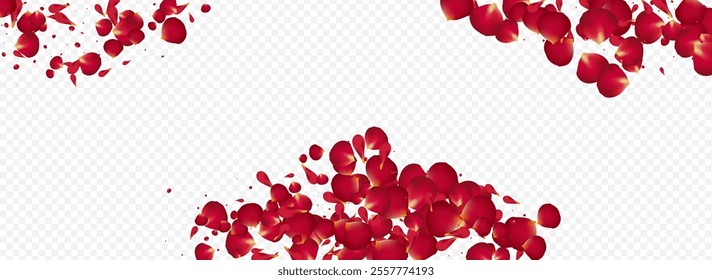 Pink Sakura Blur Vector Panoramic Transparent Background. Japanese Petal Design. Red Rose Spring Pattern. Delicate Floral Beauty Frame.