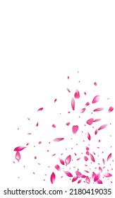 Pink Sakura Blur Vector White Background. Japanese Cherry Pattern. Delicate Floral Spring Illustration. Red Petal Fly Texture.
