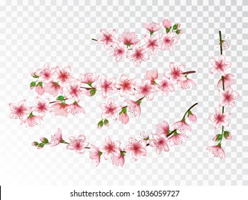 Pink sakura branches set vector illustration. Blooming twigs isolated, springtime tree flower blossoms floral design. Decorative spring flowering trees branches vector set.