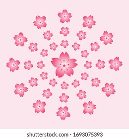 círculo sakura rosa sobre fondo rosa. mandala rosa