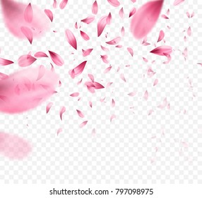 Pink sakura falling petals background. Vector illustration EPS10