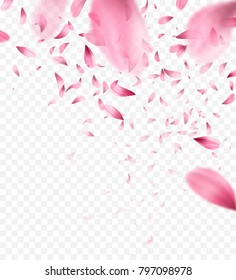 Pink sakura falling petals background. Vector illustration EPS10