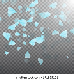 Pink sakura falling petals. Illustration on transparent background. Graphic concept for your design.