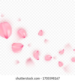 Pink sakura falling petals. Leaves flower romantic on transporent background. Love card. Vector Illustration