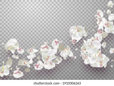 Pink sakura falling petals on transparent background. vector file included