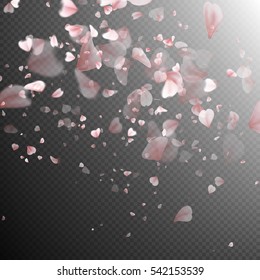Pink sakura falling petals on transparent background. EPS 10 vector file included