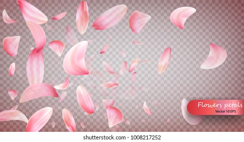 Pink sakura falling petals vector background. Wedding, Valentine or Women day pink floral blossoms flying in wind whirl backdrop. Petals falling on vector transparent background. Vecto 10 EPS. 