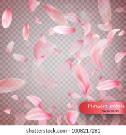 Pink sakura falling petals vector background. Wedding, Valentine or Women day pink floral blossoms flying in wind whirl backdrop. Petals falling on vector transparent background. Vecto 10 EPS. 