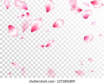 Pescado de pétalos de caída rosado fondo vectorial. Ilustración romántica en primavera 3D. Los pétalos florales de los árboles sakura vuelan.
