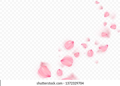 Pink sakura falling petals vector background. 3D romantic illustration. Transporent banner with sakura. Love card