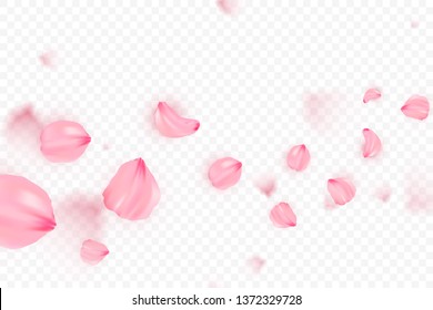 Pink sakura falling petals vector background. 3D romantic illustration. Transporent banner with sakura. Love card