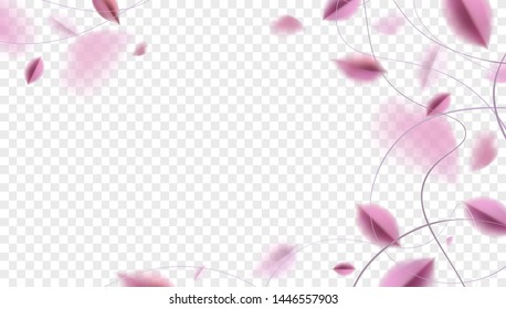 Pink sakura falling petals vector background. 3D romantic illustration