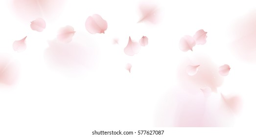 Pink sakura falling petals vector background. 3D romantic illustration