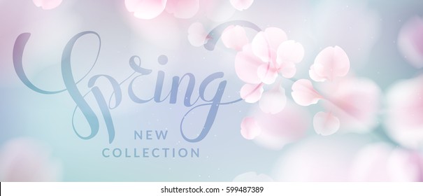 Rosa sakura caindo pétalas de fundo vetorial. 3D ilustração romântica com Primavera novo texto de coleção. Design criativo de cor suave para cartaz, folheto, modelo de banner com espaço de cópia