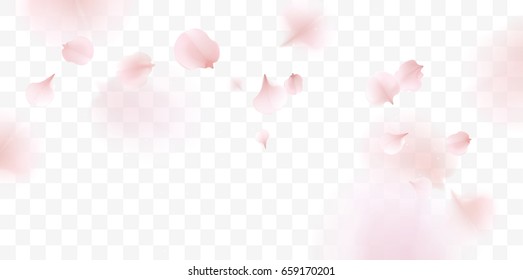 Pink sakura falling petals vector background. 3D romantic illustration - Shutterstock ID 659170201