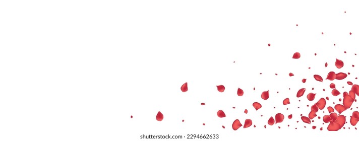 Pink Sakura Falling Vector Panoramic White Background. Blur Lotus Texture. Beautiful Flower Japan Design. Red Peach Tender Template.